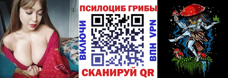 Псилоцибиновые грибы мицелий Гдов